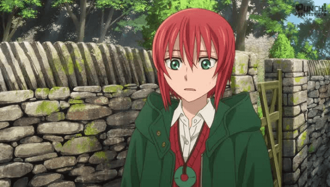 Mahoutsukai No Yome Dublado